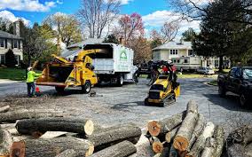 Best Leaf Removal  in Jerome, ID